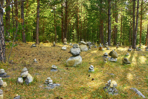 files/0/517.jpg