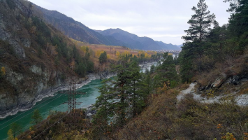 files/0/836.jpg